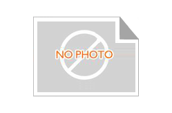 TE High Voltage Relay 48－95V High Voltage Contactor EV200HJANA  2-1618002-0 EV200HJANA =RELAY, SPST-NO WITH